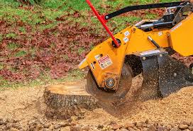 Best Commercial Tree Services  in Nokesville, VA