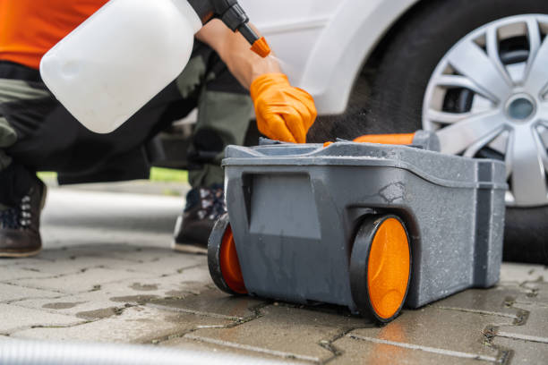 Best Utility Line Clearance  in Nokesville, VA